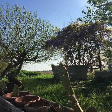 Couette-café Il Rudere Ravenne