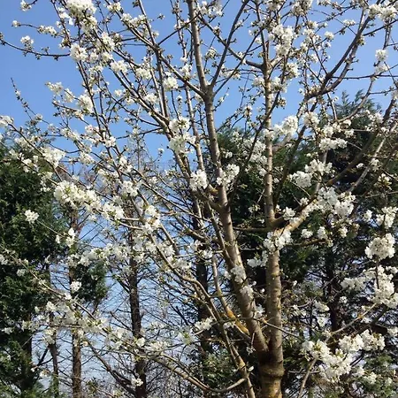 Il Rudere Couette-café *