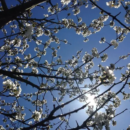 Il Rudere Couette-café *