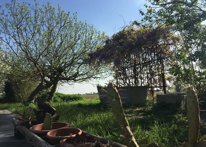 Panzió Il Rudere Ravenna