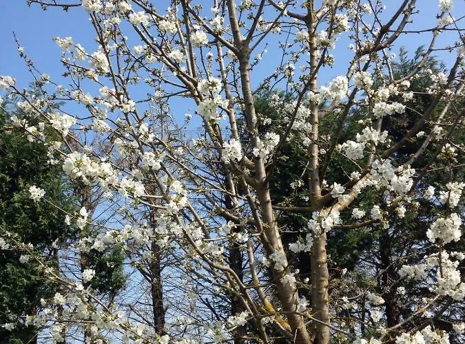 Il Rudere לינה וארוחת בוקר *